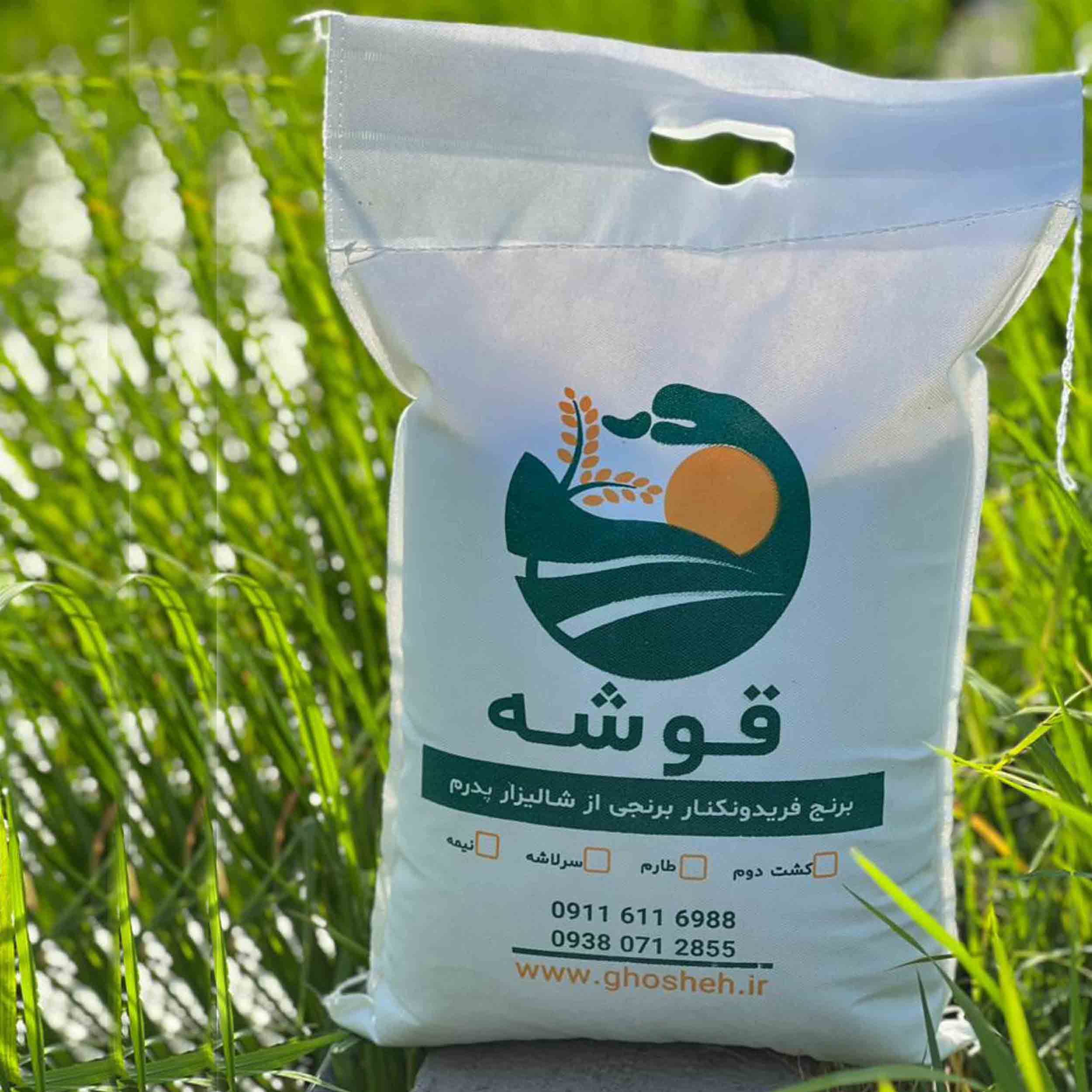 برنج طارم قوشه|بهترین قیمت و کیفیت برنج طارم فریدونکنار-10 کیلویی - تصویر 6