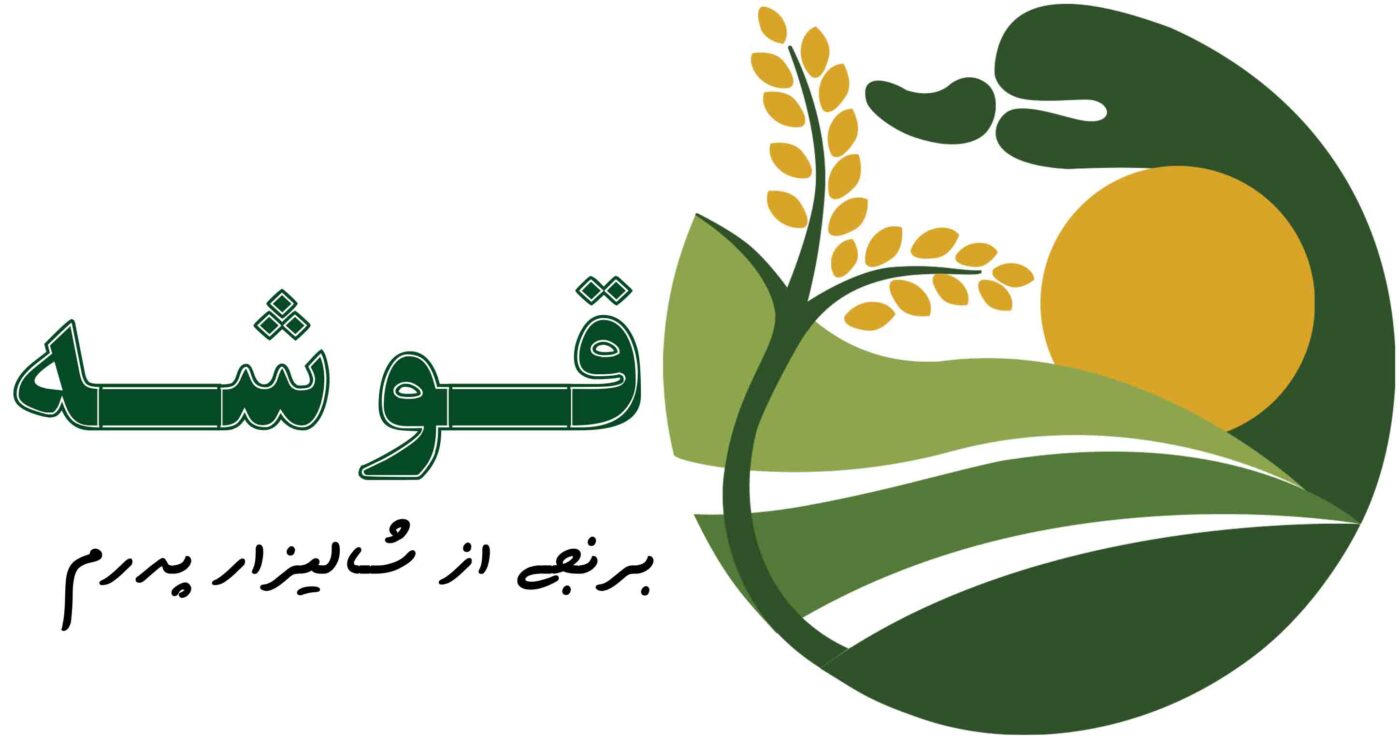 قوشه برند تخصصی برنج فریدونکنار